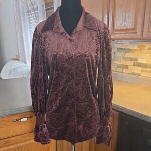 Luxurious Velvet Button Down Shirt in Rich Brown( NWT)